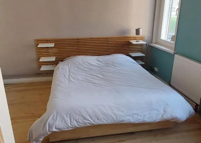 Maison Avec Jardin A Lille Bois Blancs